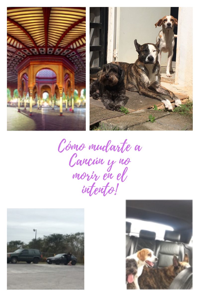 Cómo Mudarte A Cancún Y No Morir En El Intento!