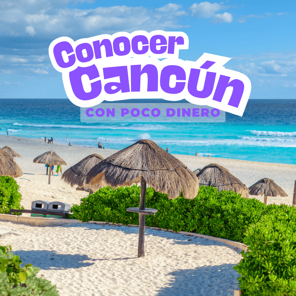 Otros Servicioes (12)