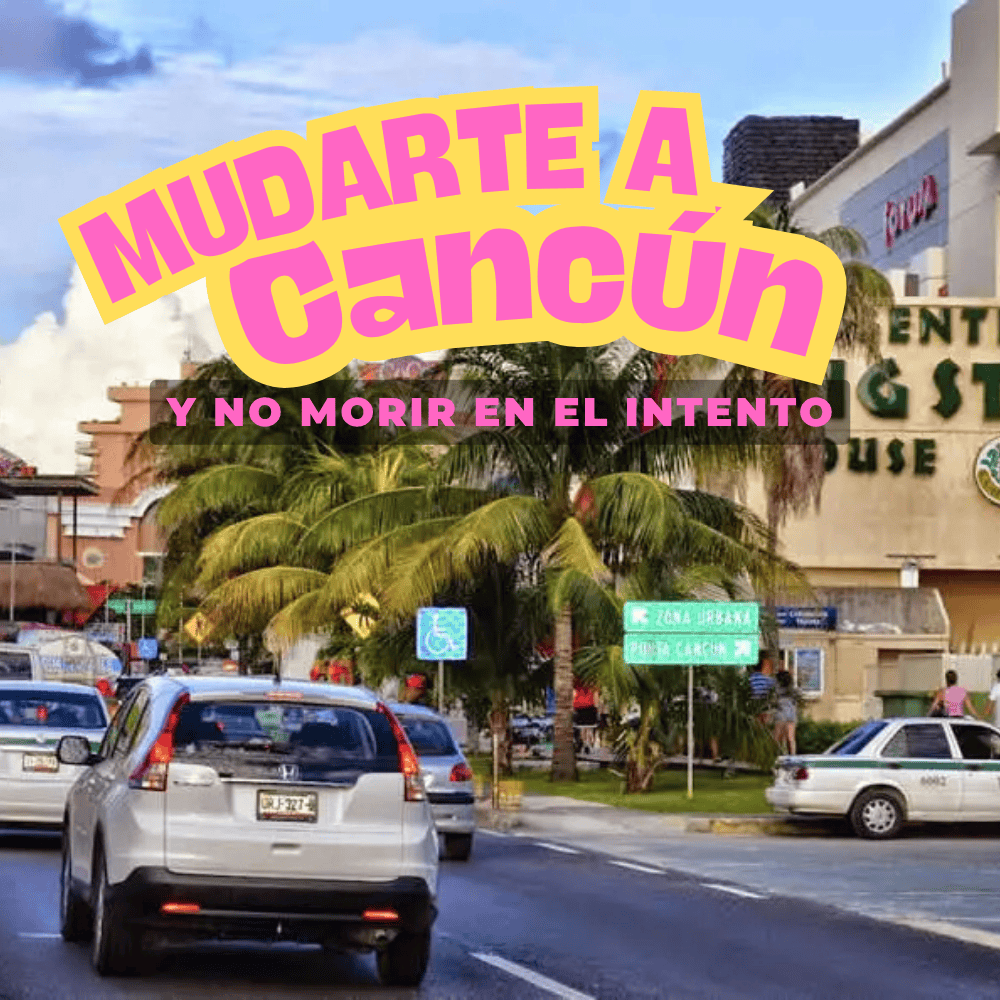 Otros Servicioes (13)