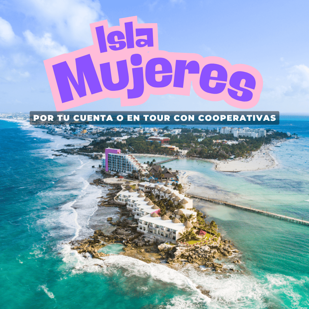 Otros Servicioes (8)